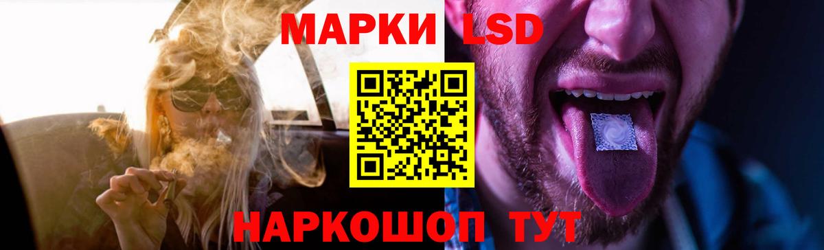 Курчалой  ЛСД экстази ecstasy  Вход с VPN  ЛСД экстази ecstasy 