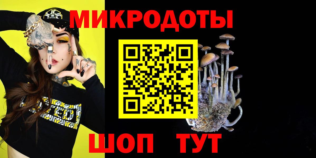 Галлюциногенные грибы прущие грибы Курчалой